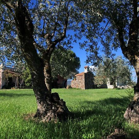 Affittacamere S'Ulumu Dorgali Esterno foto