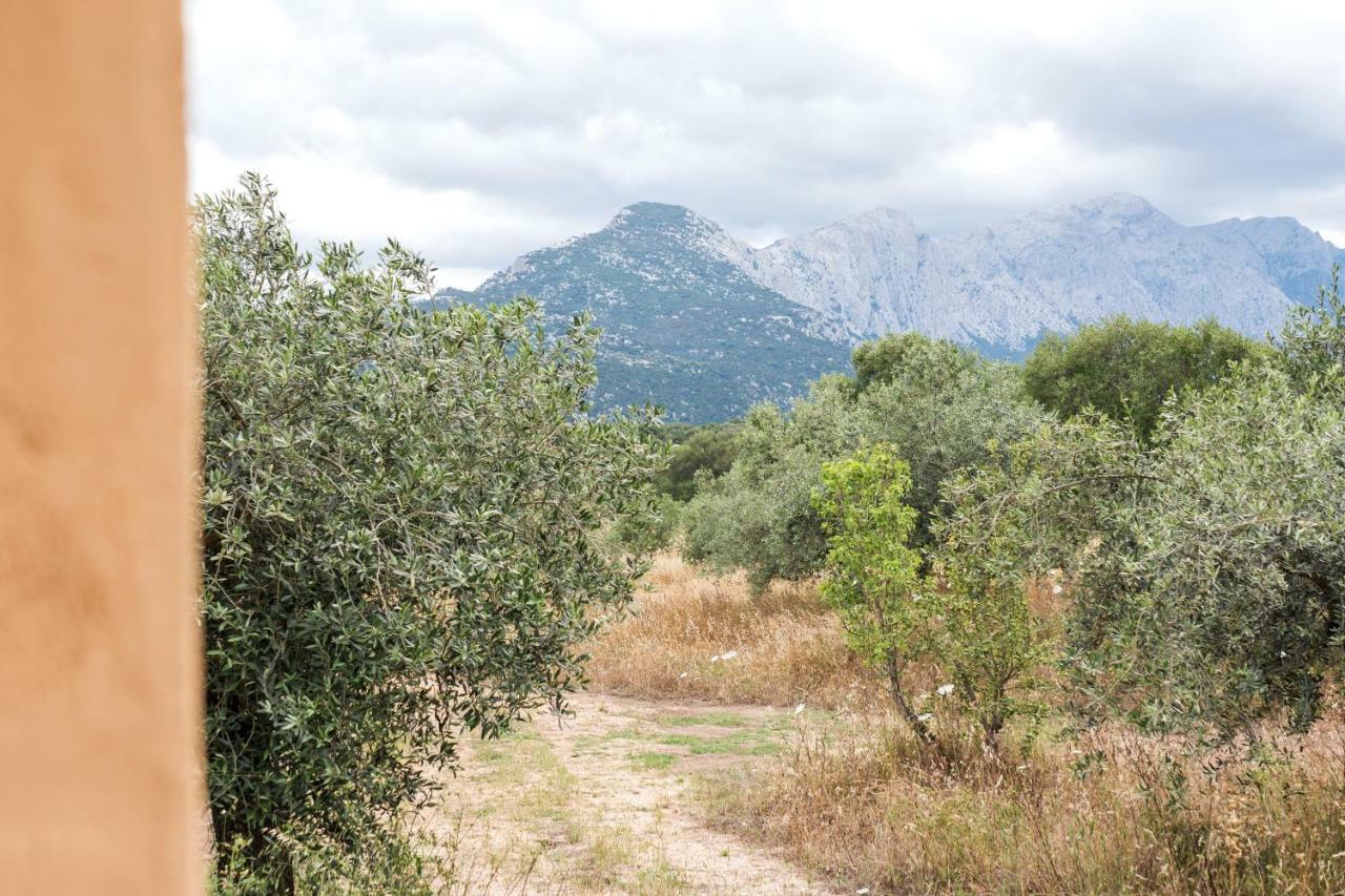 Affittacamere S'Ulumu Dorgali Esterno foto