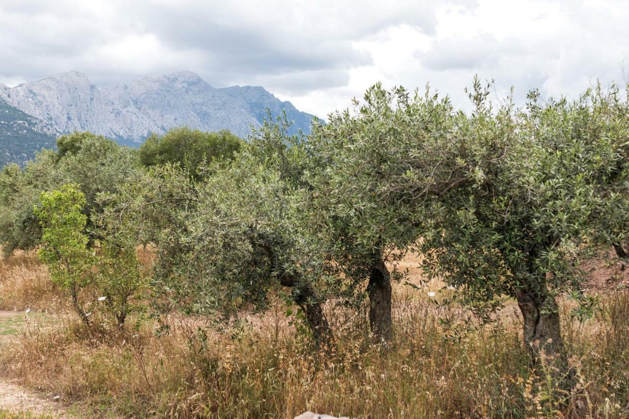 Affittacamere S'Ulumu Dorgali Esterno foto