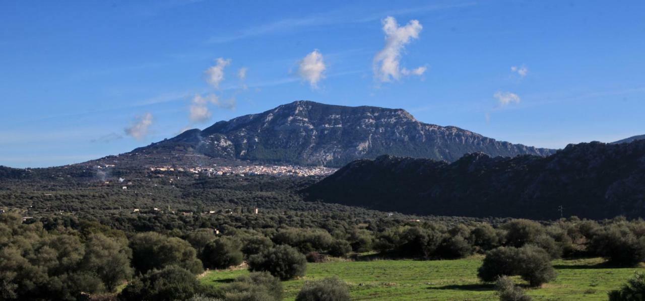 Affittacamere S'Ulumu Dorgali Esterno foto