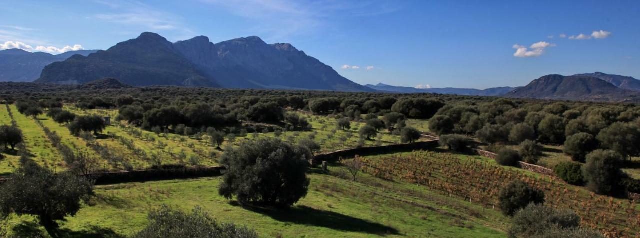 Affittacamere S'Ulumu Dorgali Esterno foto