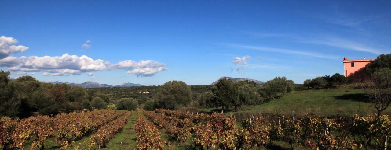 Affittacamere S'Ulumu Dorgali Esterno foto