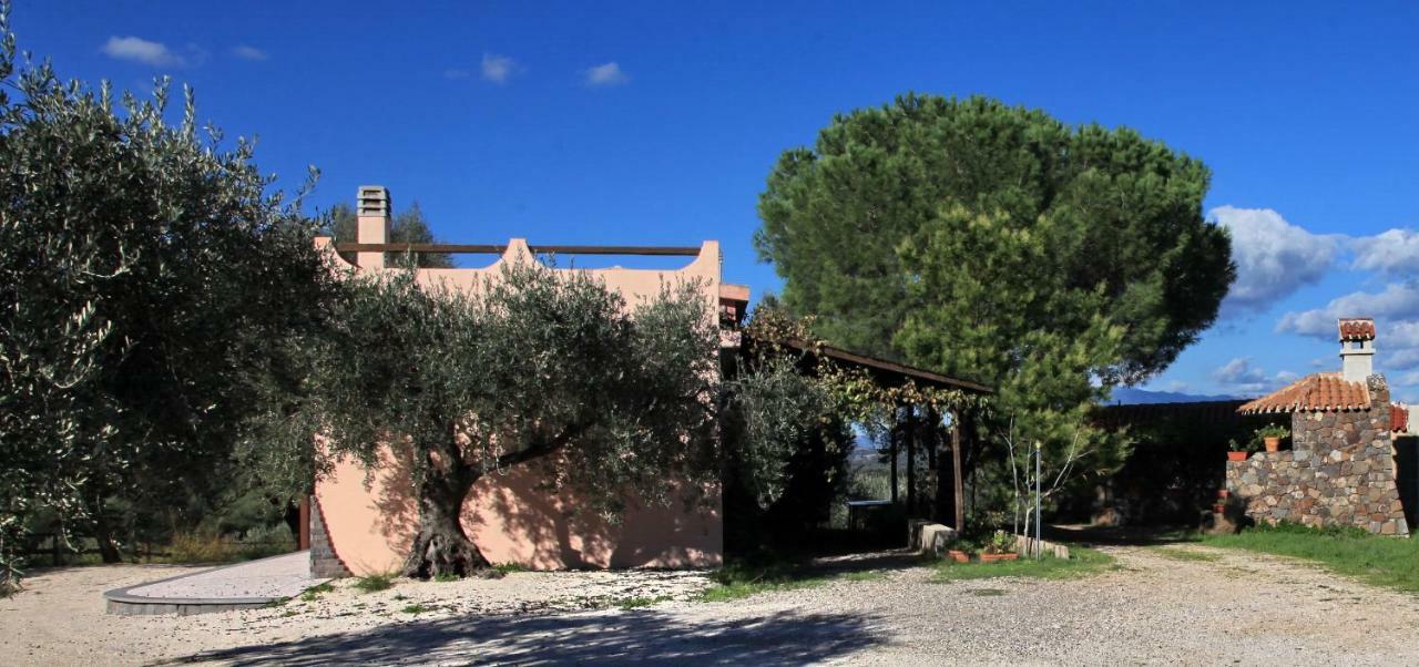 Affittacamere S'Ulumu Dorgali Esterno foto